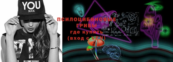 PSILOCYBIN Баксан