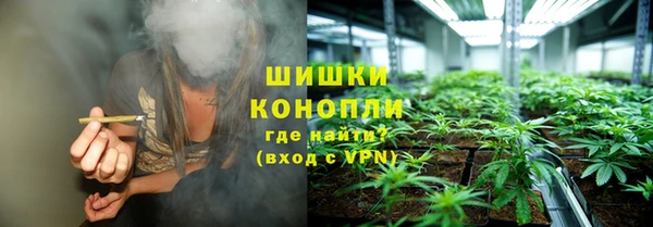 дурь Краснослободск