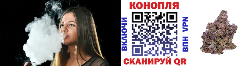 Шишки марихуана сатива  наркотики  Семикаракорск 